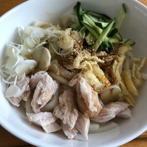 ★サラダうどん★